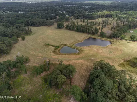 325 W Main St, Florence, MS 39073 photo 6