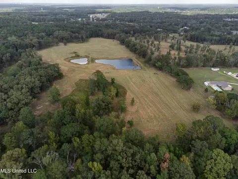 325 W Main St, Florence, MS 39073 photo 4