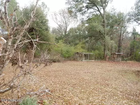Exterior - 75 L G Collins Rd, State Line, MS 39362 photo 6 of 9