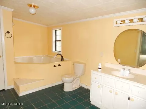 Bath - 75 L G Collins Rd, State Line, MS 39362 photo 1 of 5