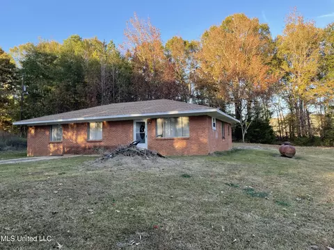 3648 Molestage Slack Rd, Pickens, MS 39146
