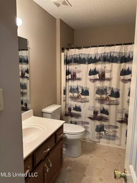Bath - 1715 Tara Dr, Hernando, MS 38632 photo 2 of 2