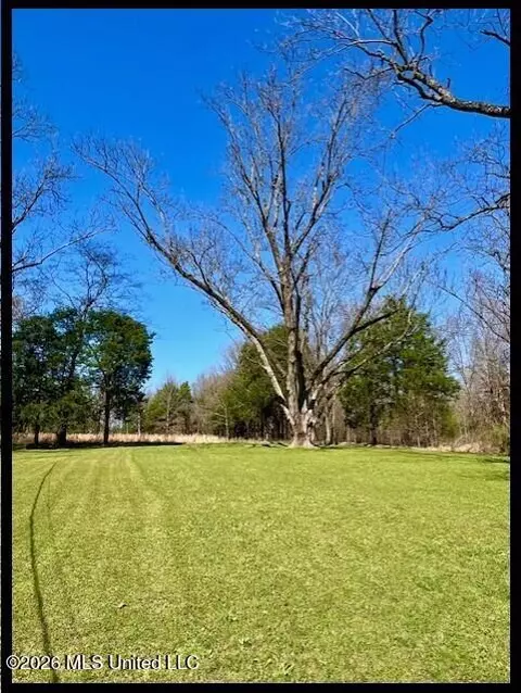 5089 Sees Chapel Rd, Crenshaw, MS 38621 photo 5
