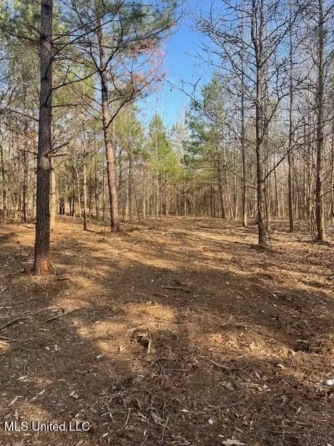 1397 Gravel Springs Rd, Senatobia, MS 38668