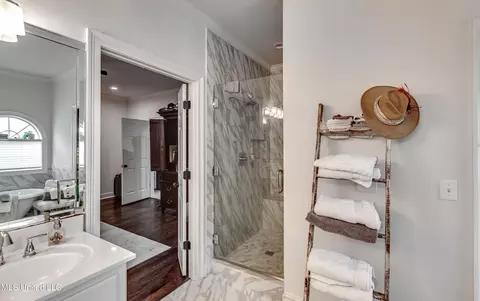 Bath - 708 Oak Trl, Canton, MS 39046 photo 3 of 8