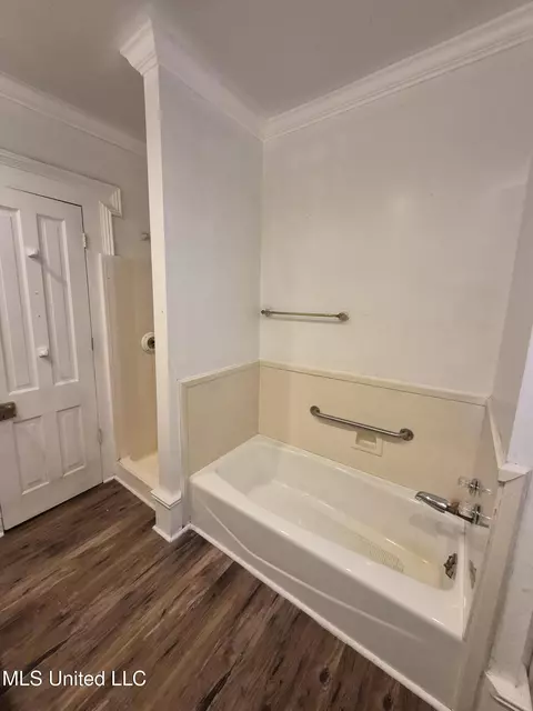 Bath - 401 E First St, Forest, MS 39074 photo 5 of 6