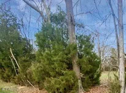 1178 Stump Ridge Rd, Brandon, MS 39047 photo 7