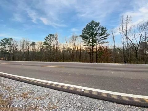1178 Stump Ridge Rd, Brandon, MS 39047 photo 6