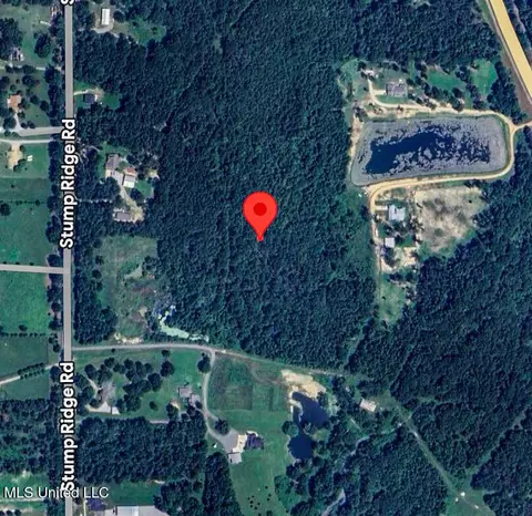 1178 Stump Ridge Rd, Brandon, MS 39047 photo 3