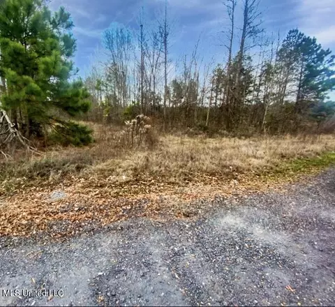 1178 Stump Ridge Rd, Brandon, MS 39047 photo 4