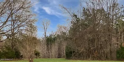1178 Stump Ridge Rd, Brandon, MS 39047 photo 5