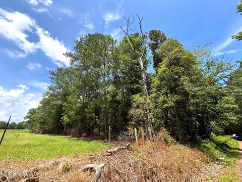 SE Freeman Road, Summit, MS 39666 photo 8