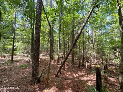 SE Freeman Road, Summit, MS 39666 photo 7