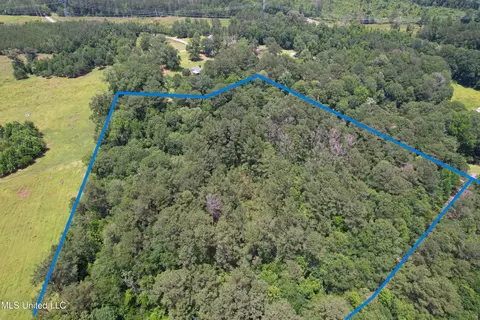 SE Freeman Road, Summit, MS 39666 photo 3