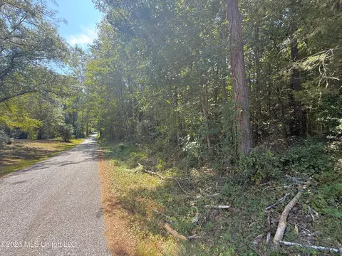 SE Freeman Road, Summit, MS 39666 photo 8