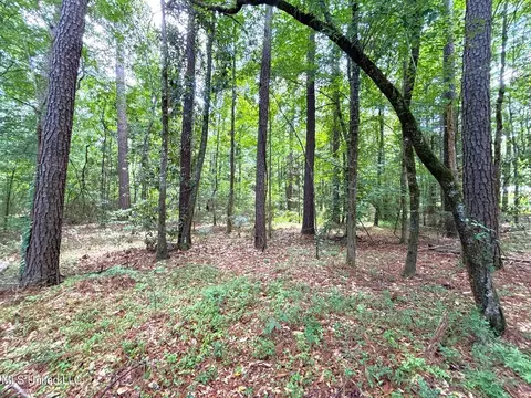 SE Freeman Road, Summit, MS 39666 photo 4
