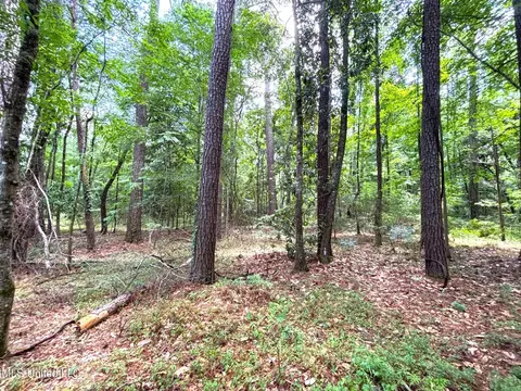SE Freeman Road, Summit, MS 39666 photo 5