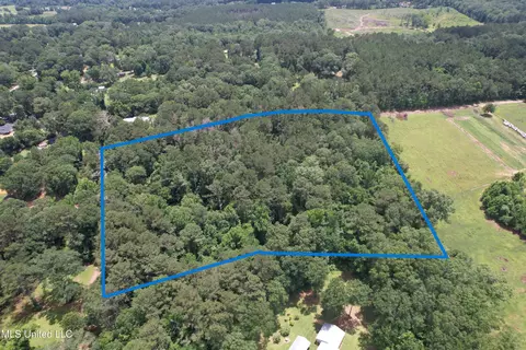 SE Freeman Road, Summit, MS 39666