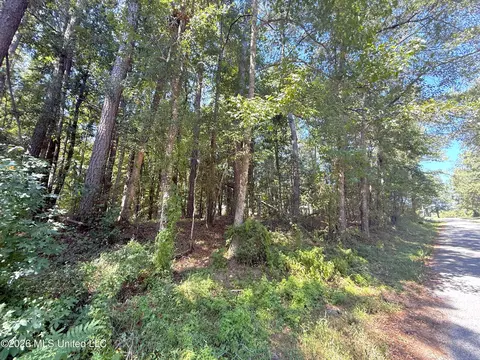 SE Freeman Road, Summit, MS 39666 photo 3