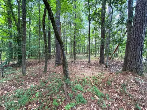 SE Freeman Road, Summit, MS 39666 photo 6