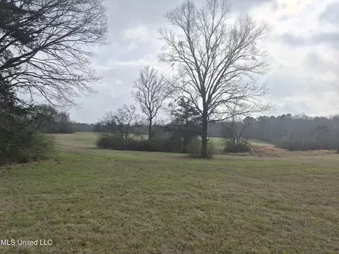 Pine Grove Road, Walnut Grove, MS 39189 photo 9