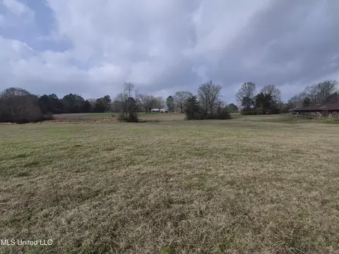 Pine Grove Road, Walnut Grove, MS 39189 photo 4