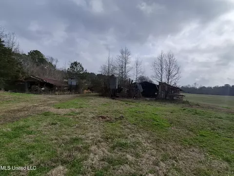 Pine Grove Road, Walnut Grove, MS 39189 photo 5