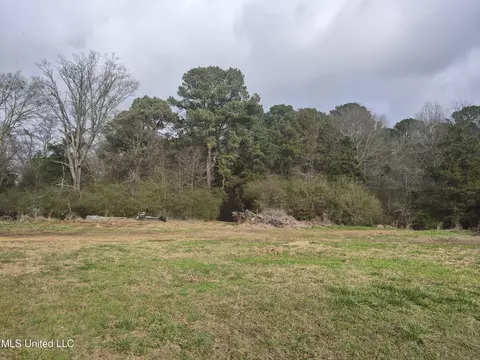 Pine Grove Road, Walnut Grove, MS 39189 photo 7