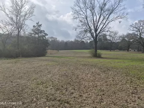 Pine Grove Road, Walnut Grove, MS 39189 photo 8