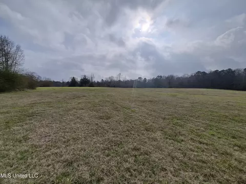 Pine Grove Road, Walnut Grove, MS 39189 photo 3