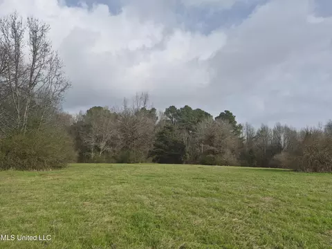 Pine Grove Road, Walnut Grove, MS 39189 photo 6
