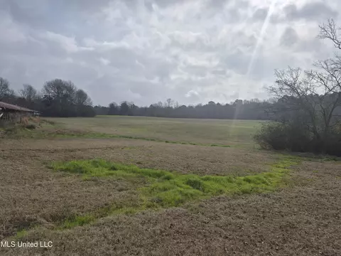 Pine Grove Road, Walnut Grove, MS 39189 photo 2