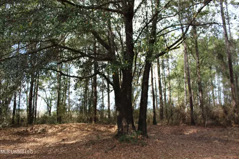 2162 Barton Agricola Rd, Lucedale, MS 39452 photo 21