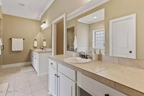 Other - 104 Carmichael Blvd, Madison, MS 39110 photo 11 of 15