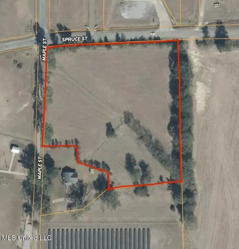 Spruce Street, Walnut Grove, MS 39189 photo 11