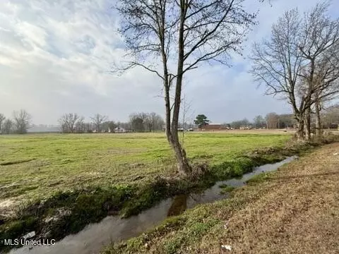 Spruce Street, Walnut Grove, MS 39189 photo 6