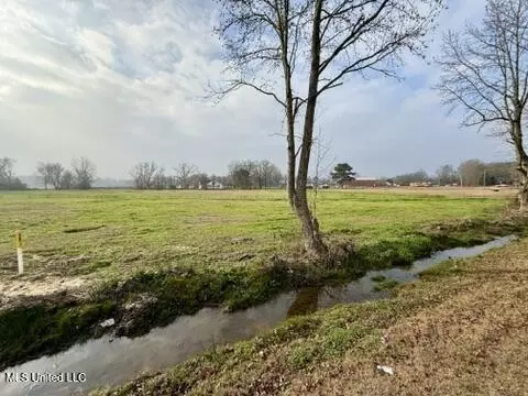 Spruce Street, Walnut Grove, MS 39189 photo 8