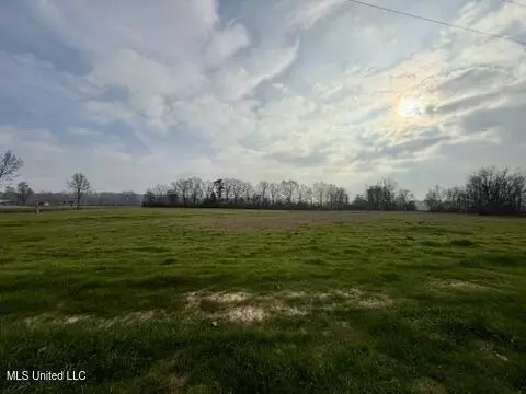 Spruce Street, Walnut Grove, MS 39189 photo 4