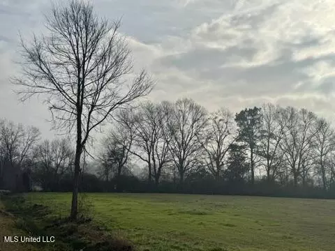 Spruce Street, Walnut Grove, MS 39189 photo 10