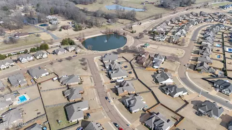 View/Area - 3132 E Jefferson Loop, Hernando, MS 38632 photo 4 of 5