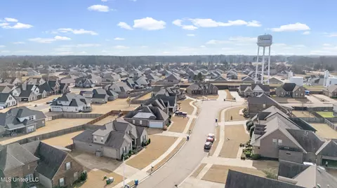 View/Area - 3132 E Jefferson Loop, Hernando, MS 38632 photo 3 of 5