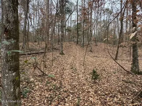 Sellars Road, Smithdale, MS 39664 photo 24