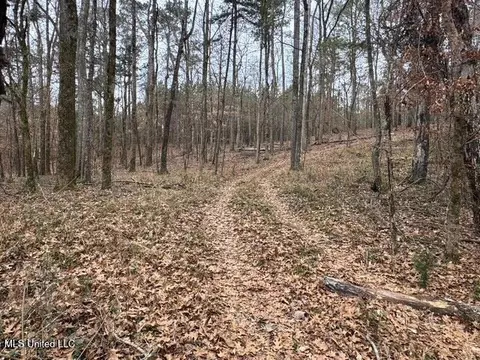 Sellars Road, Smithdale, MS 39664 photo 25