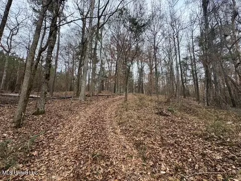 Sellars Road, Smithdale, MS 39664 photo 6