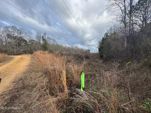 Sellars Road, Smithdale, MS 39664 photo 2