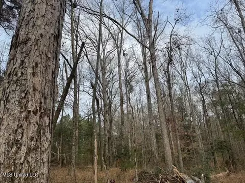 Sellars Road, Smithdale, MS 39664 photo 14