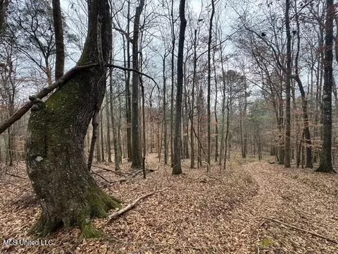 Sellars Road, Smithdale, MS 39664 photo 7