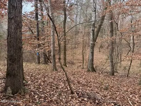 Sellars Road, Smithdale, MS 39664 photo 10