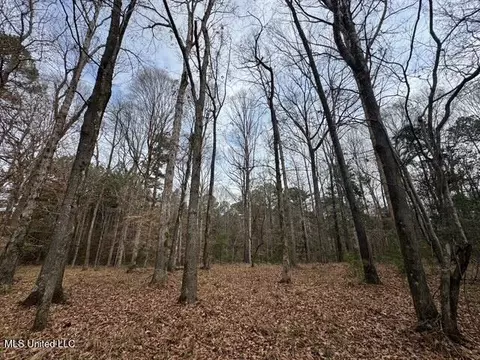 Sellars Road, Smithdale, MS 39664 photo 15