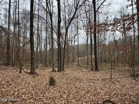 Sellars Road, Smithdale, MS 39664 photo 23